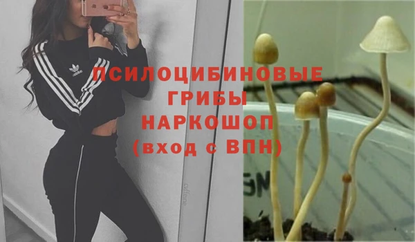 винт Алексеевка